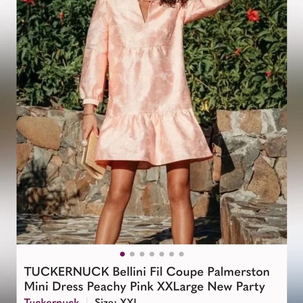 Tuckerneck Bellini Fli Coupe Palmerston Drop Waist Peachy Pink Dress - Picture 8 of 12